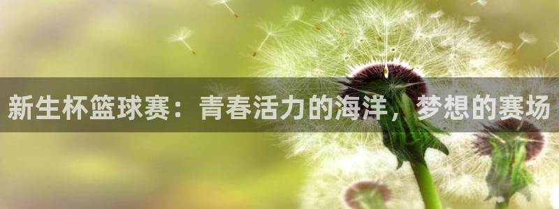中欧体育官网登录入口网址查询：新生杯篮球赛：青春活力的海洋，