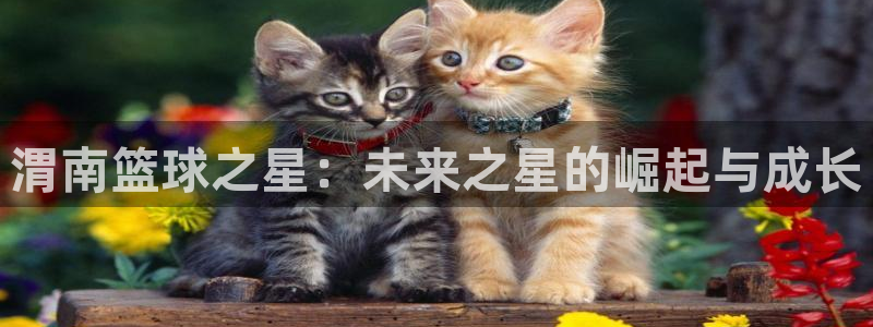 中欧体育品牌：渭南篮球之星：未来之星的崛起与成长