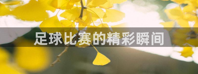 中欧体育登录入口官网首页：足球比赛的精彩瞬间