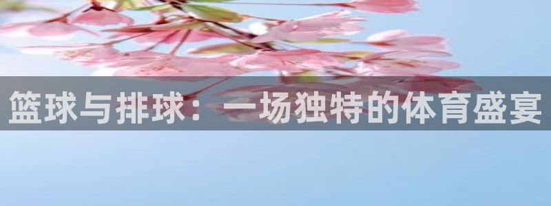 Zoty中欧体育平台app下载地址：篮球与排球：一场独特的体