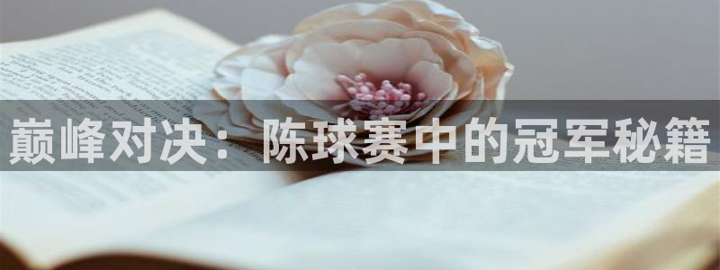 中欧体育健康促进会：巅峰对决：陈球赛中的冠军秘籍