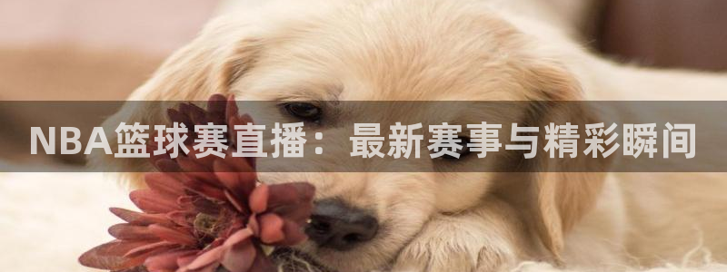 中欧体育平台官网首页：NBA篮球赛直播：最新赛事与精彩瞬间