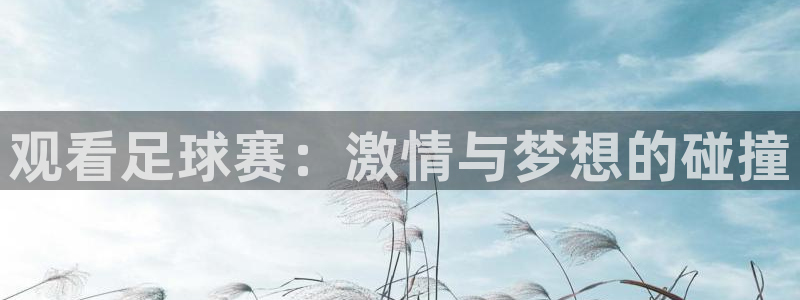 中欧体育的登录方式：观看足球赛：激情与梦想的碰撞